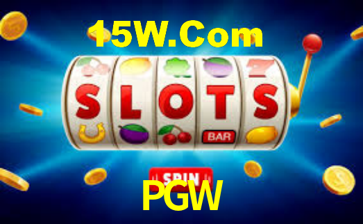 Interface Premium PGW
